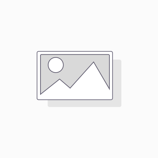 APP Inventor