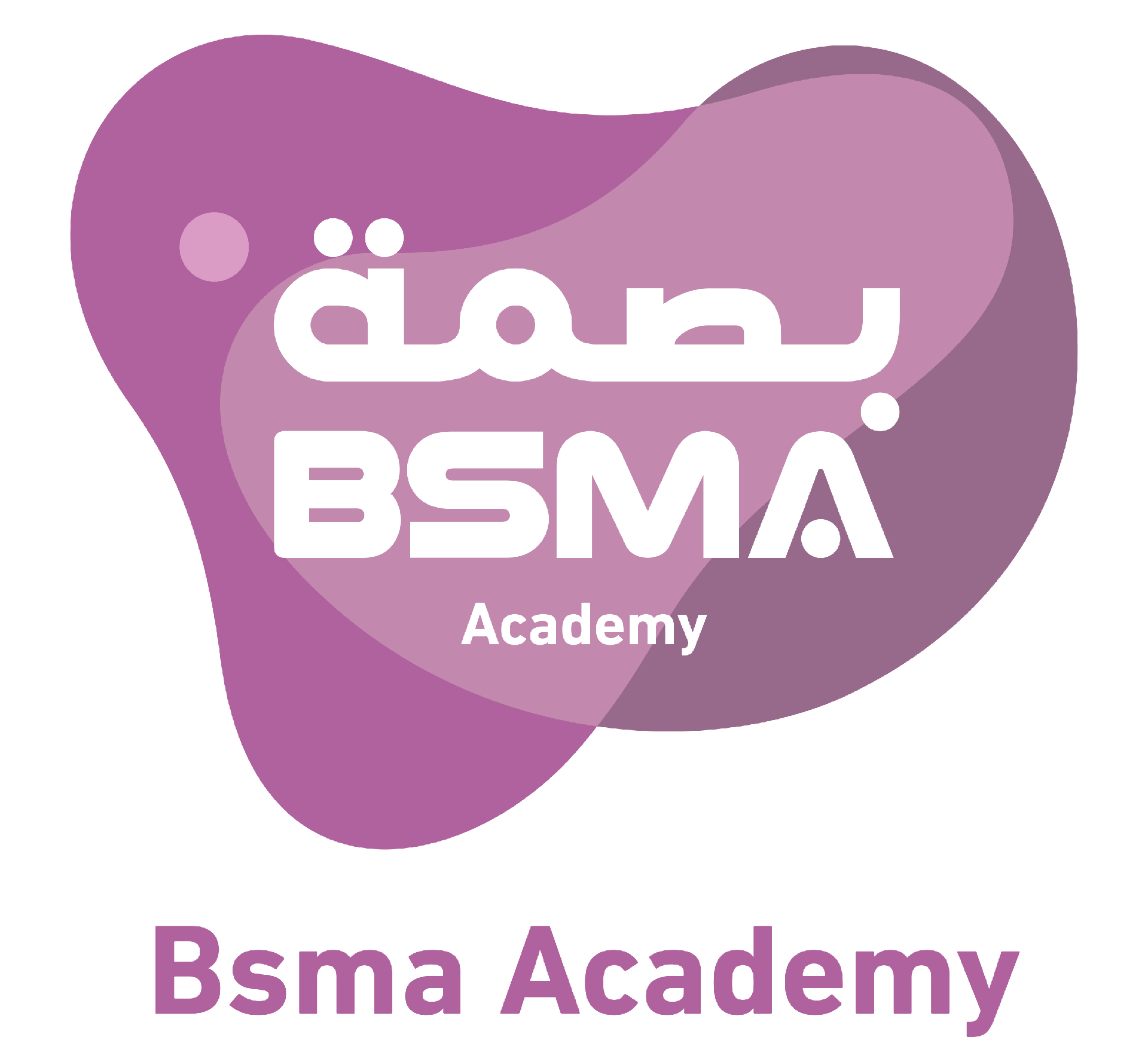 Bsma Academy